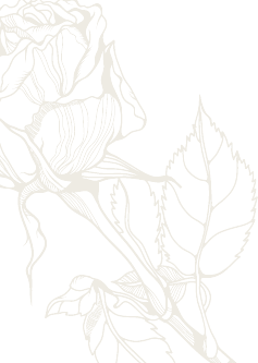 soins du corps massages et spa à mons l'avenue beauty & spa